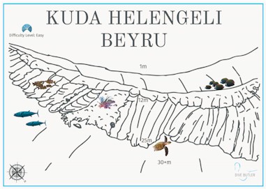 Kuda Helengeli Beyru
